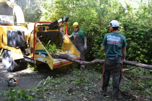 tree services Parkersburg